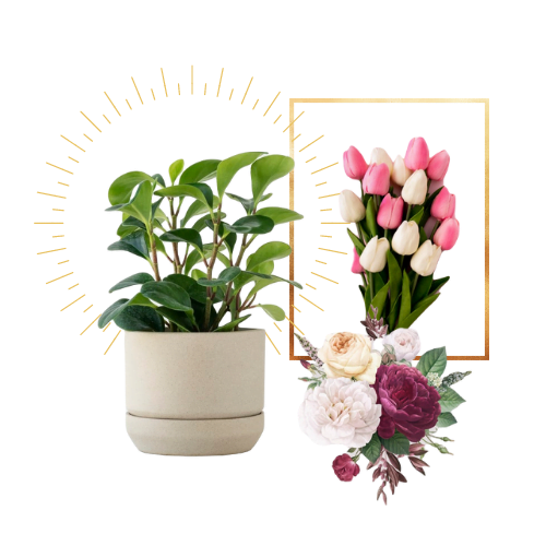 floers Your Community Marketplace: It's quick and easy. Learn, Shop, Sell, and connect with friends and family.