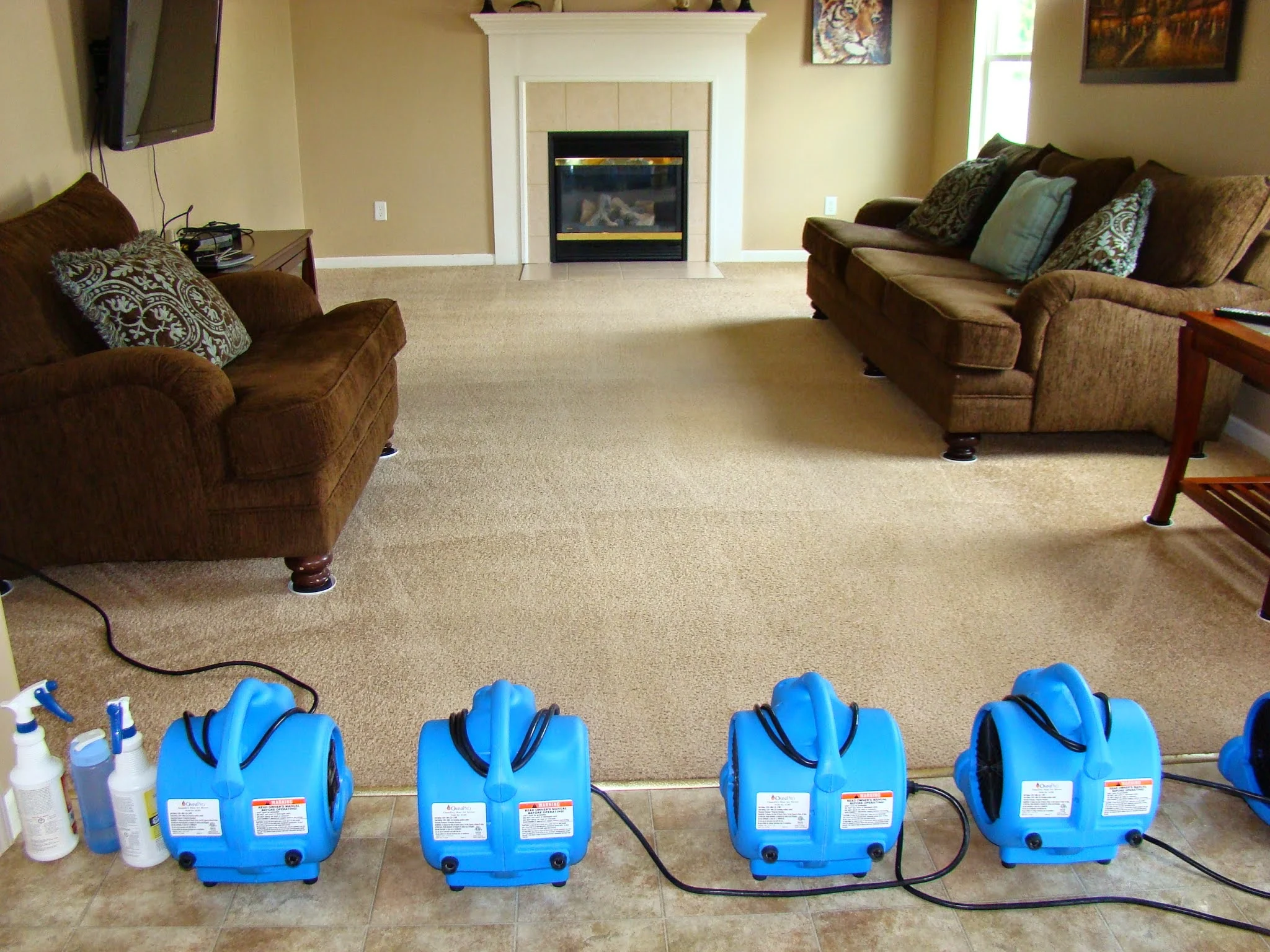 A One Carpet Cleaning Restoration Your Community Marketplace: It's quick and easy. Learn, Shop, Sell, and connect with friends and family.