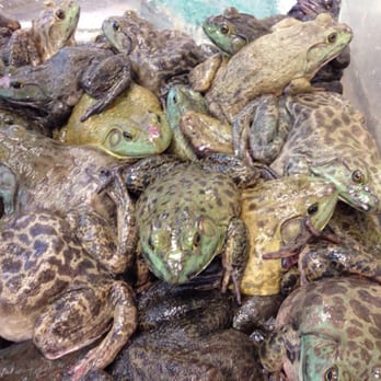 Asia Food Market7 Your Community Marketplace: It's quick and easy. Learn, Shop, Sell, and connect with friends and family.