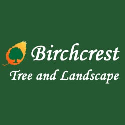 BIRCHCREST 5 Your Community Marketplace: It's quick and easy. Learn, Shop, Sell, and connect with friends and family.
