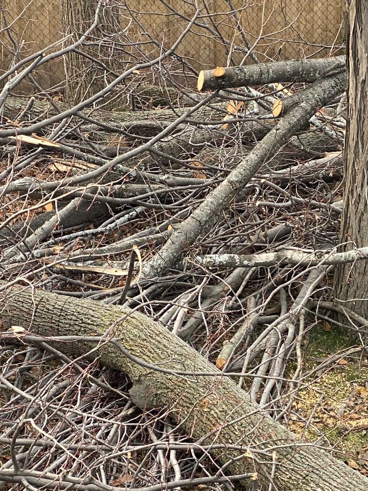 BIRCHCREST Your Community Marketplace: It's quick and easy. Learn, Shop, Sell, and connect with friends and family.