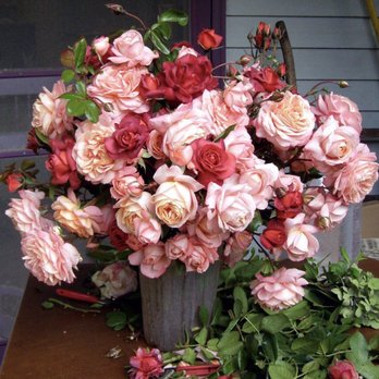 Designs By Bradley James13 Your Community Marketplace: It's quick and easy. Learn, Shop, Sell, and connect with friends and family.