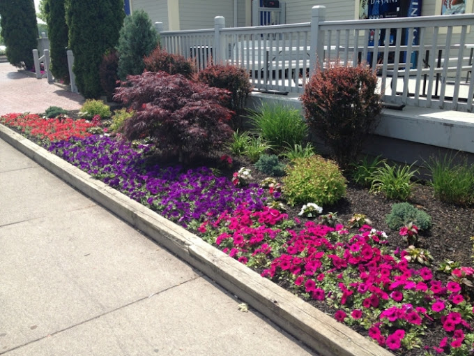 Educated Landscape 5 Your Community Marketplace: It's quick and easy. Learn, Shop, Sell, and connect with friends and family.