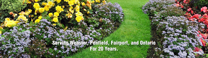 Educated Landscape 7 Your Community Marketplace: It's quick and easy. Learn, Shop, Sell, and connect with friends and family.