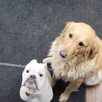 Elmers Brighton Garage3 Your Community Marketplace: It's quick and easy. Learn, Shop, Sell, and connect with friends and family.