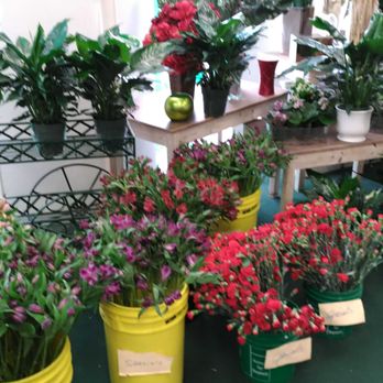 FIO5 Your Community Marketplace: It's quick and easy. Learn, Shop, Sell, and connect with friends and family.