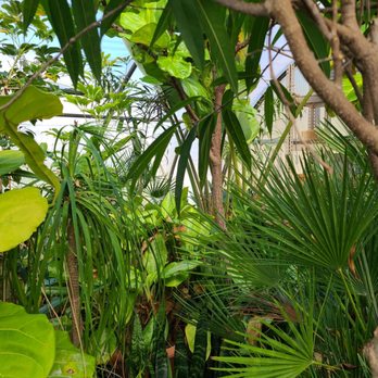 Galleas Florist Greenhouse1 Your Community Marketplace: It's quick and easy. Learn, Shop, Sell, and connect with friends and family.