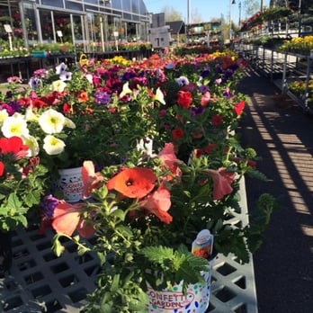 Galleas Florist Greenhouse8 Your Community Marketplace: It's quick and easy. Learn, Shop, Sell, and connect with friends and family.