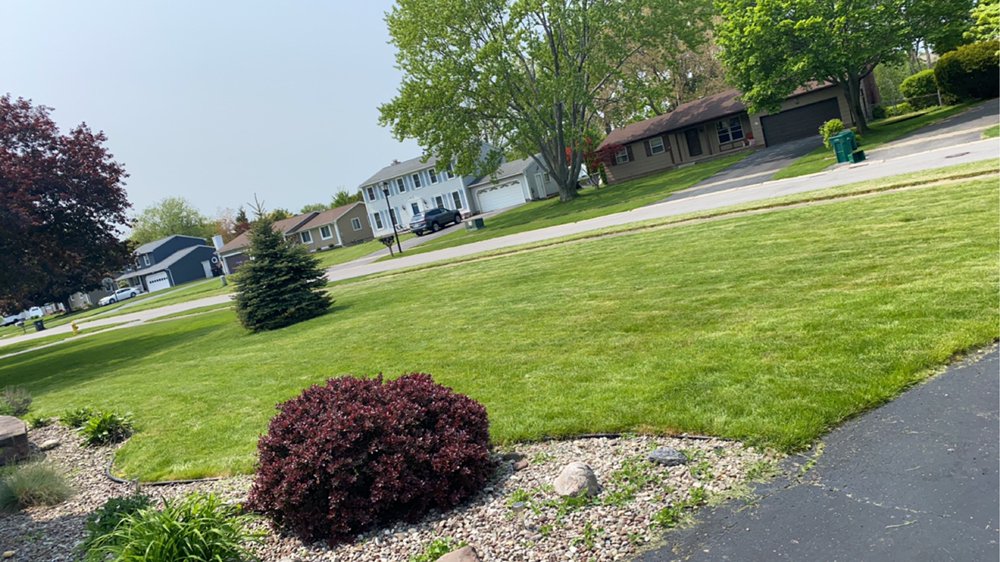 LOPEZ Your Community Marketplace: It's quick and easy. Learn, Shop, Sell, and connect with friends and family.