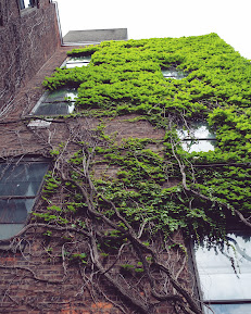 Natasha Staszak Photography1 Your Community Marketplace: It's quick and easy. Learn, Shop, Sell, and connect with friends and family.