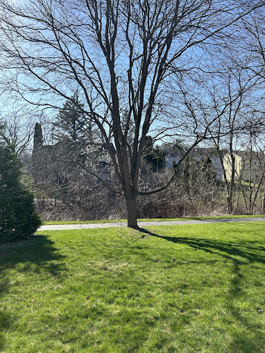 Pauls Landscaping of NY LLC 2 Your Community Marketplace: It's quick and easy. Learn, Shop, Sell, and connect with friends and family.