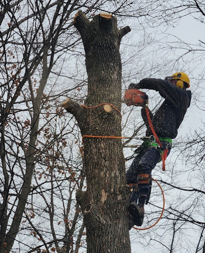 Pauls Landscaping of NY LLC 3 Your Community Marketplace: It's quick and easy. Learn, Shop, Sell, and connect with friends and family.