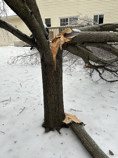 Pauls Landscaping of NY LLC 7 Your Community Marketplace: It's quick and easy. Learn, Shop, Sell, and connect with friends and family.