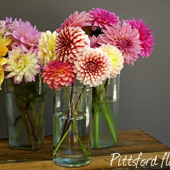 Pittsford Florist7 Your Community Marketplace: It's quick and easy. Learn, Shop, Sell, and connect with friends and family.