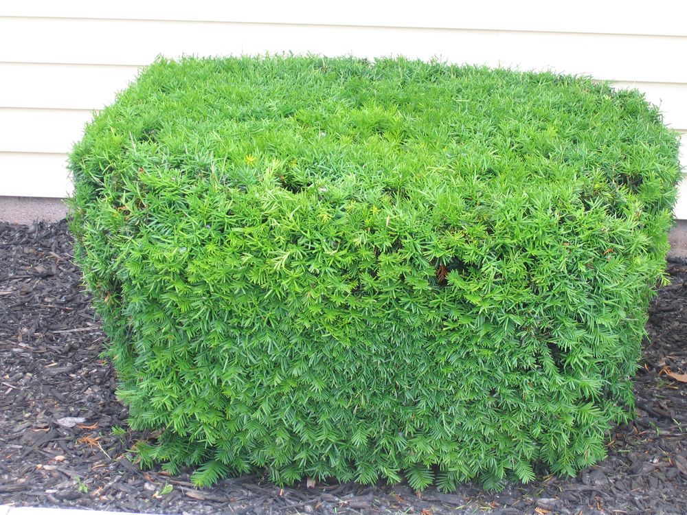 paul 2 Your Community Marketplace: It's quick and easy. Learn, Shop, Sell, and connect with friends and family.