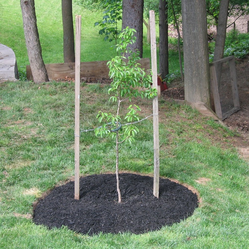 paul 4 Your Community Marketplace: It's quick and easy. Learn, Shop, Sell, and connect with friends and family.