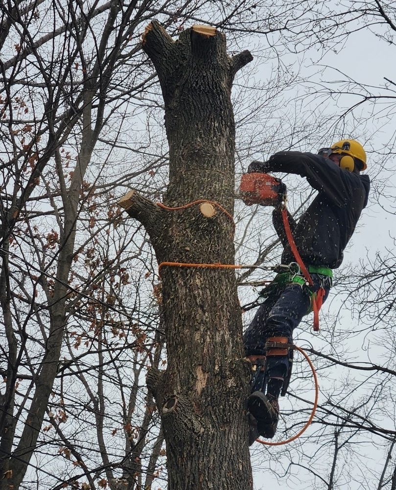 paul 6 Your Community Marketplace: It's quick and easy. Learn, Shop, Sell, and connect with friends and family.