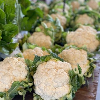 rochester8 Your Community Marketplace: It's quick and easy. Learn, Shop, Sell, and connect with friends and family.