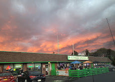 romigs6 Your Community Marketplace: It's quick and easy. Learn, Shop, Sell, and connect with friends and family.